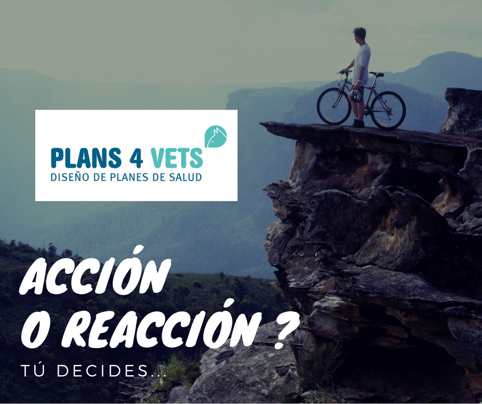 ACCIÓN O REACCIÓN -