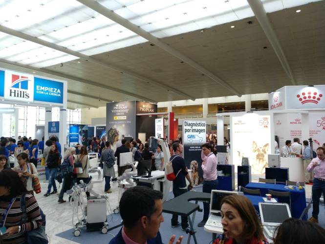 WhatsApp Image 2018-10-21 at 13.50.06